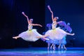 Jasmine FlowersÃ¯Â¼ËtwoÃ¯Â¼â°-Chinese National Ballet